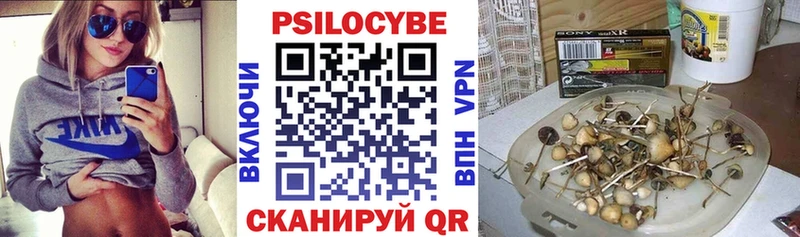 Псилоцибиновые грибы Psilocybine cubensis  Ковров 