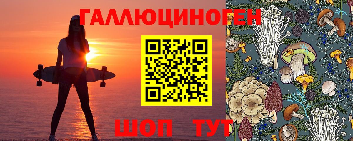 Галлюциногенные грибы Psilocybine cubensis Ковров