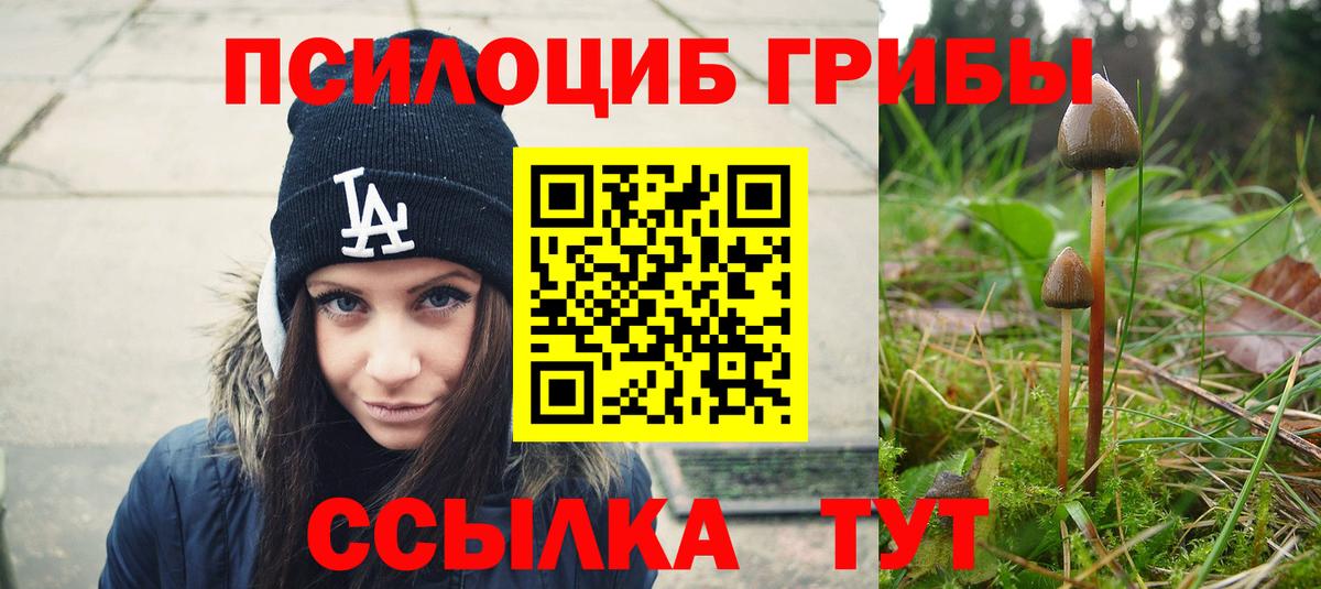 Ковров  Псилоцибиновые грибы прущие грибы  Вход с VPN 